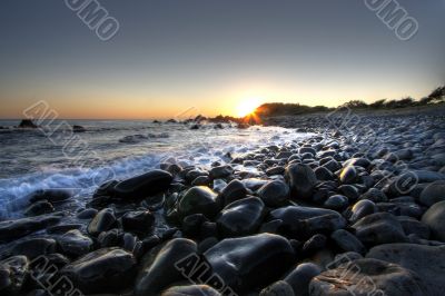 Morning at Forster