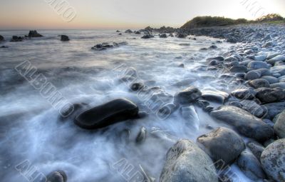 Morning at Forster