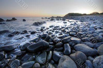 Morning at Forster