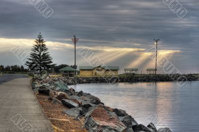 Morning at Forster