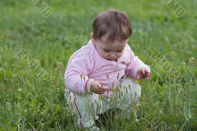 on the meadow