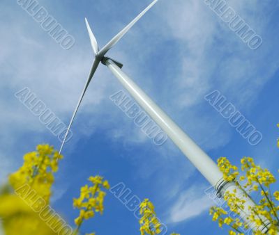 a windturbine into a rape field