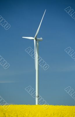 a windturbine into a rape field