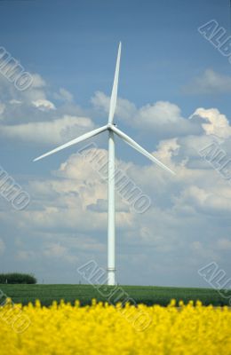 a windturbine into a rape field