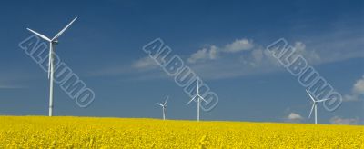 farm of windturbines close to rape field