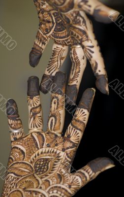 Henna Tattoo on Hands