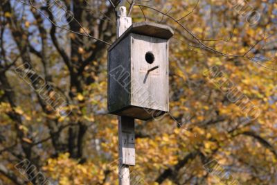 starling house