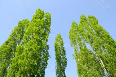 View on beautiful blue sky