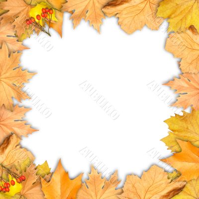 Frame of autumn yellow leaves with empty place for your image