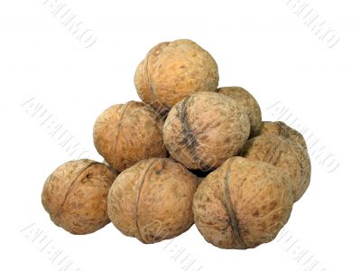 Pyramid from walnuts isolated over white background