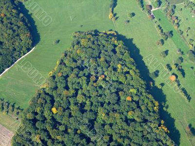 Aerial view of a german forest