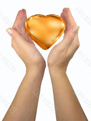 Human lady hands holding golden heart isolated over white background