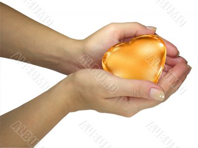 Human lady hands holding golden heart isolated over white background