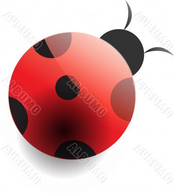 ladybird