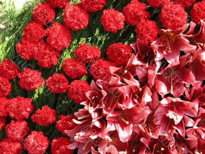 Bright red flowers with green leaves composition background