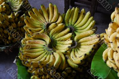 banana fruit for sale