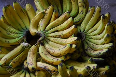 banana fruit for sale