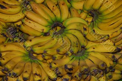 banana fruit for sale