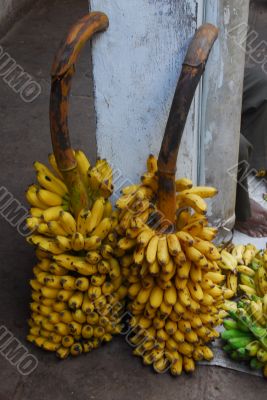 banana fruit for sale