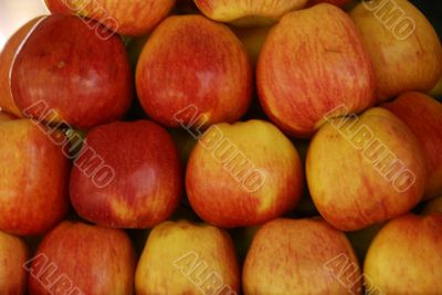 Red Apples for sale