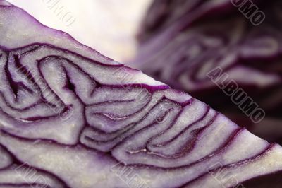 red cabbage