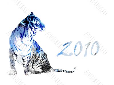 2010 year of the tiger