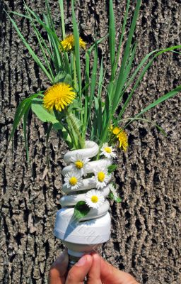 Eco Light Bulb With Flowers