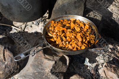 Cooking chanterelles