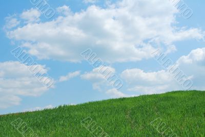 Sky And Grass