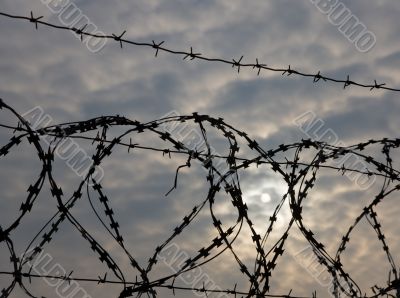 The sun behind a fencing