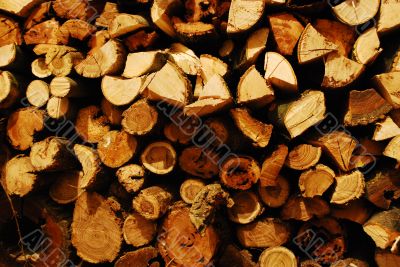 Fire Wood