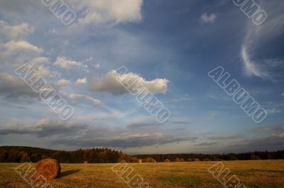 haymaking time