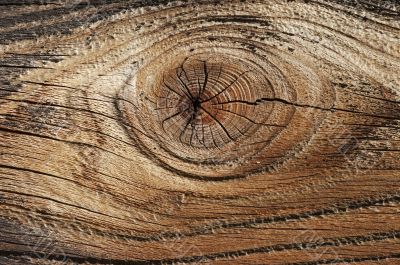 nob - wood texture