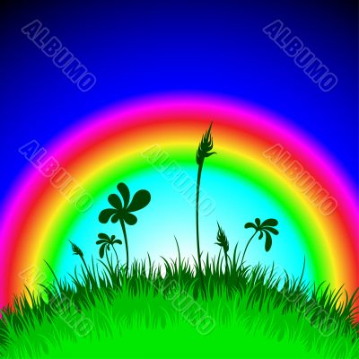 grass and rainbow