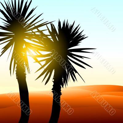 background with palms