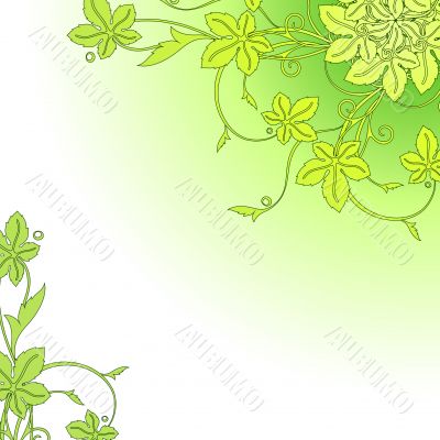 floral background