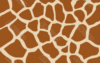 giraffe texture