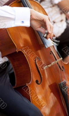 young viola player