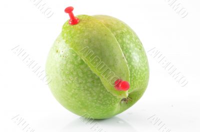 Green apple on a white background