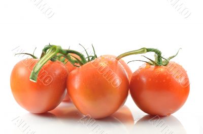 Sprig and tomato on a white background