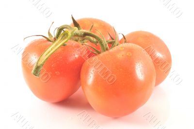 Sprig and tomato on a white background