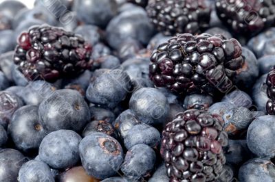 grapes and blackberries