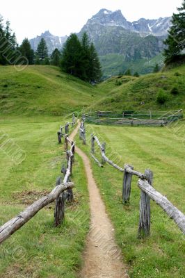 Wooden fence