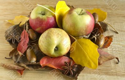 Three apples in autumn leaves