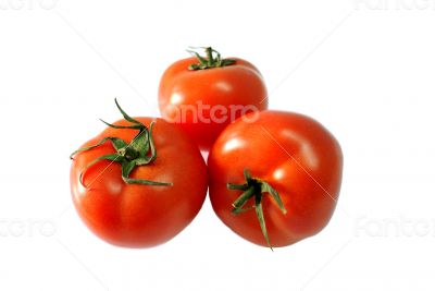 Three Tomatoes