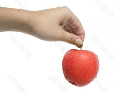 Woman`s hand holding an apple