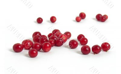 Scattering of cranberries