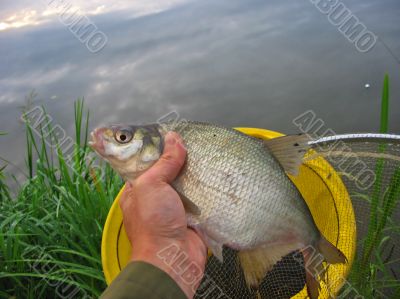 Man holding a fish