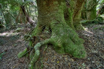 green tree