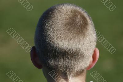 boy watching a soccer match